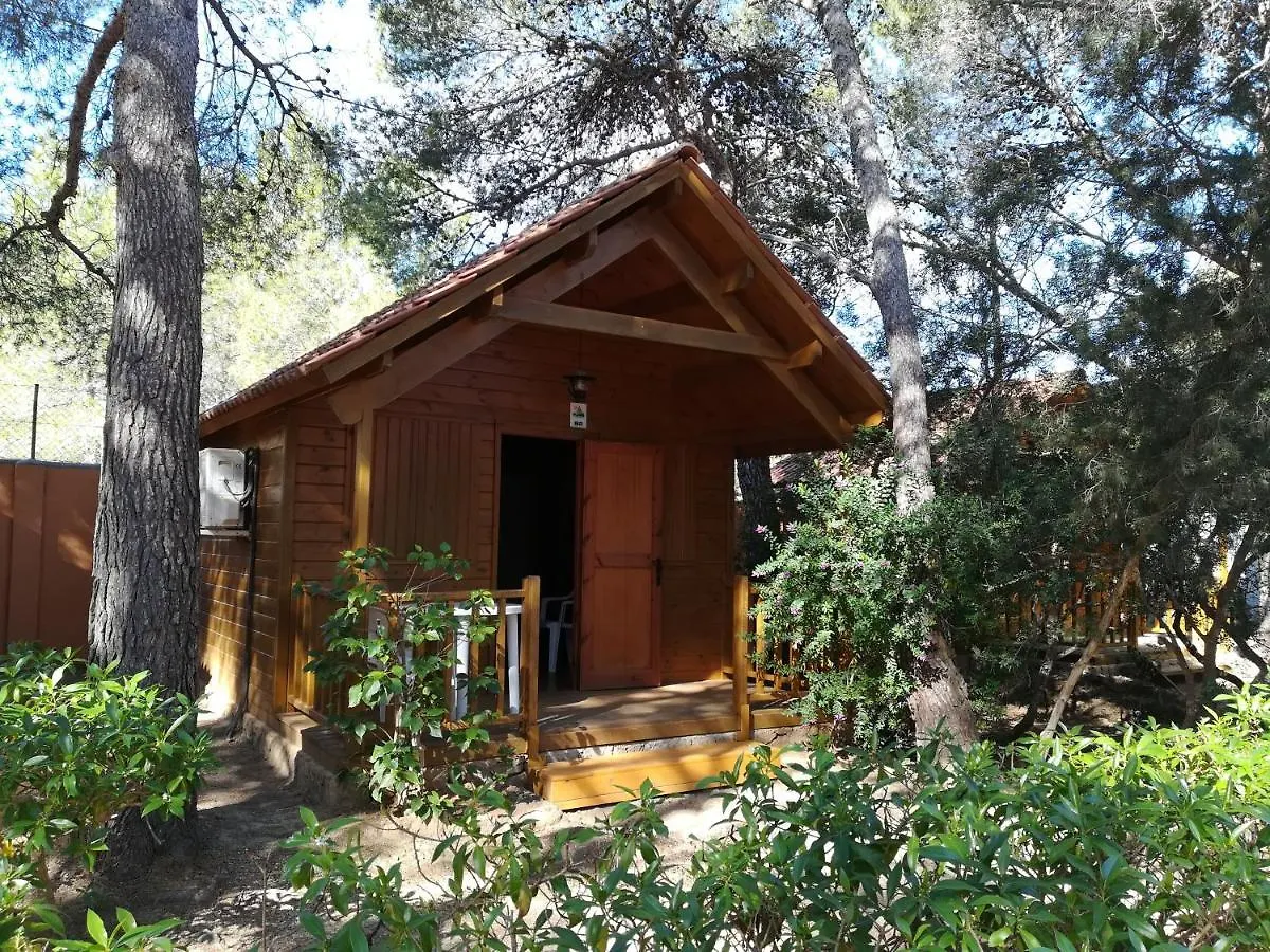 Camping Cala Nova Es Cana Spanien